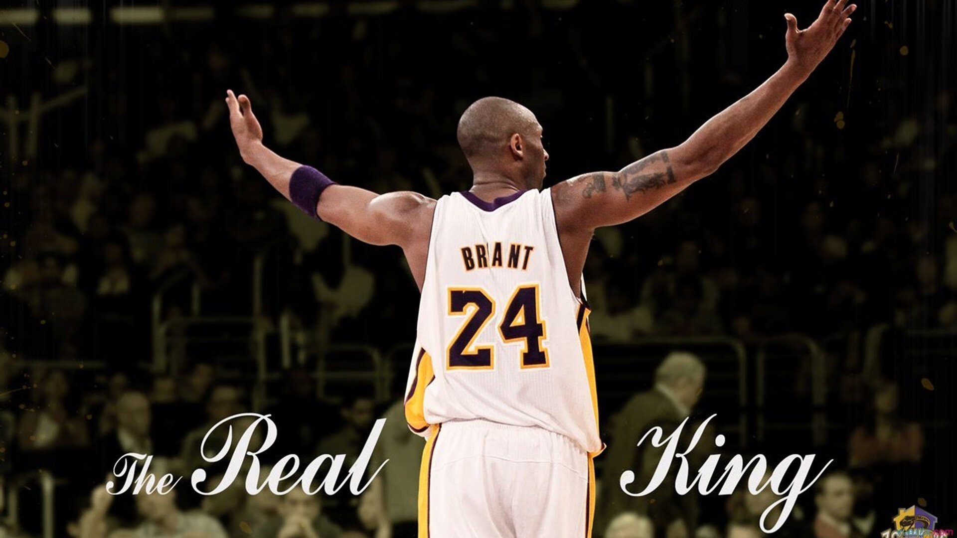 季后赛热点人物盘点，谁是最受关注的焦点？，季后赛人员名单